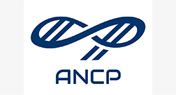 AVALIAÇÕES